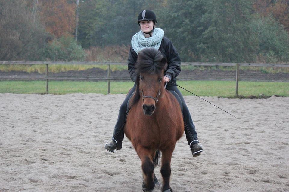 Islænder Vigdis fra Frederiksdal billede 32