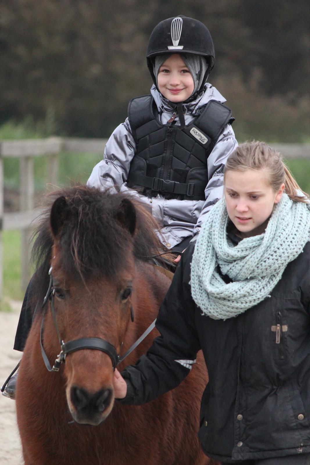 Islænder Vigdis fra Frederiksdal billede 33