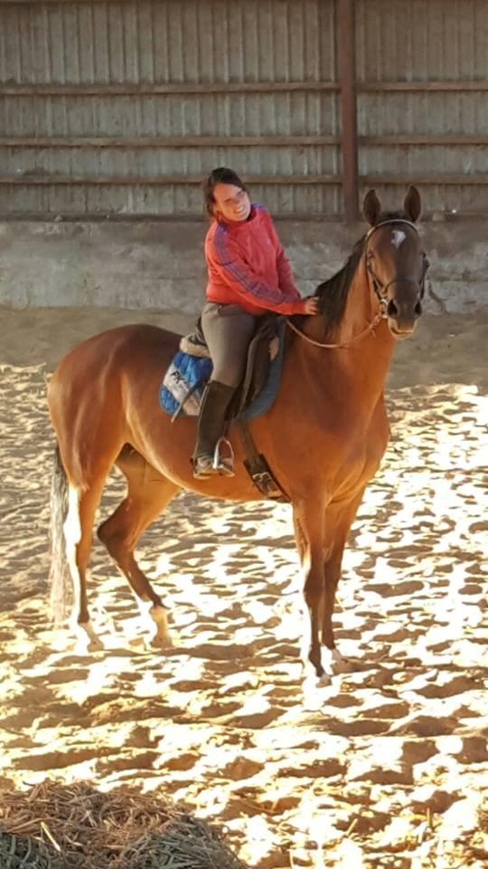 Dansk Varmblod Kira-blusbakke billede 3