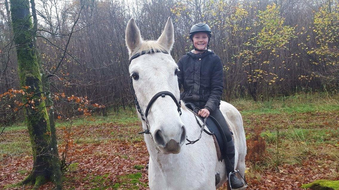 Anden særlig race Gaystar Clinton - solgt billede 14