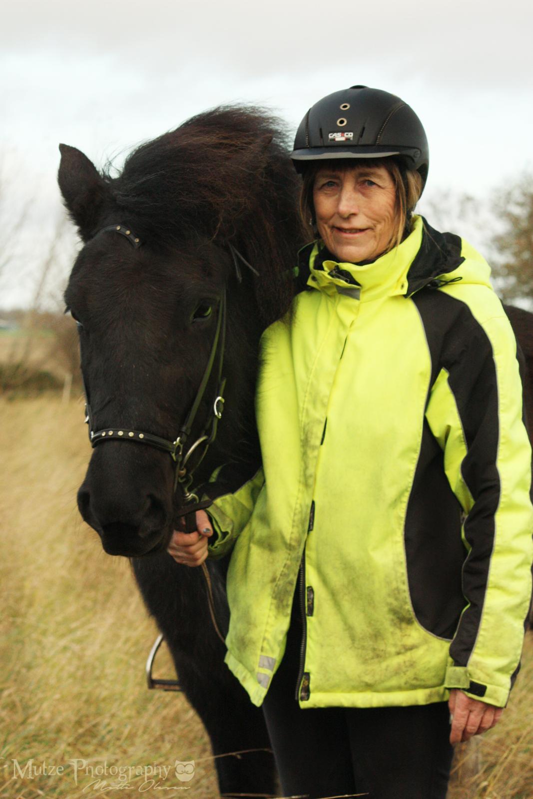 Islænder Depla fra Isstod billede 1