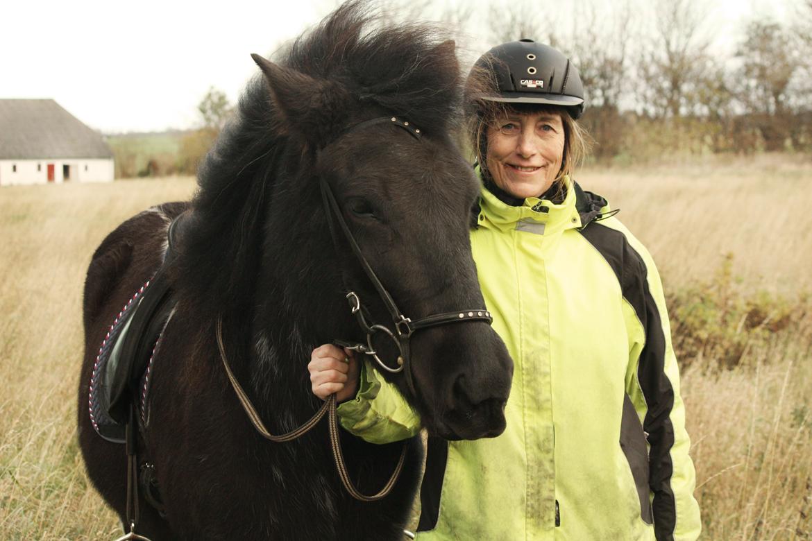 Islænder Depla fra Isstod billede 13