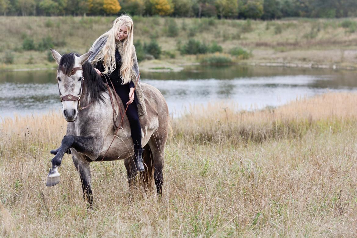 Pura Raza Española BS Alvaro billede 1