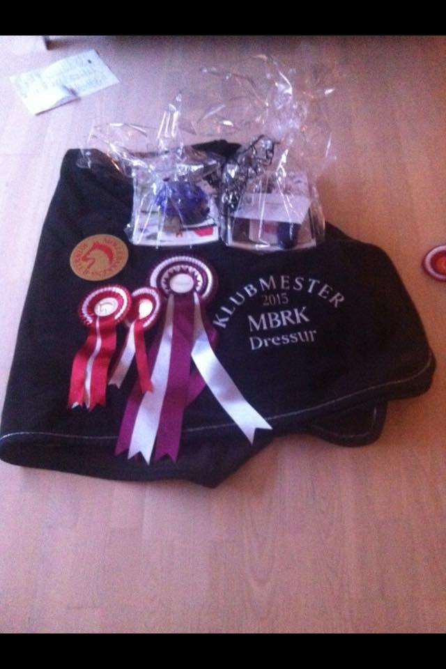 Gotlandsruss Prins - Blev klubmester i dressur på Prinsen 2015 :) billede 18