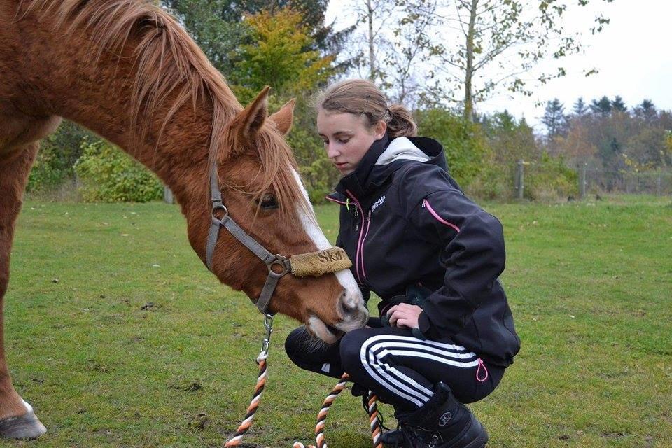 Anden særlig race Smart - Daniela hygger med prinsessen. #Foto-Daniela billede 2