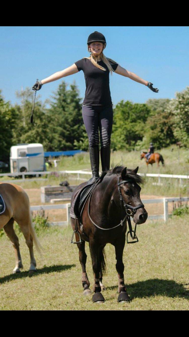 New Forest Lindholms Micky billede 3