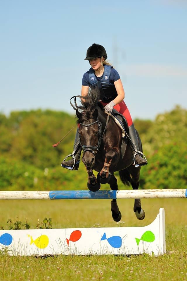 New Forest Lindholms Micky - Tak fordi i kiggede forbi <3 billede 20