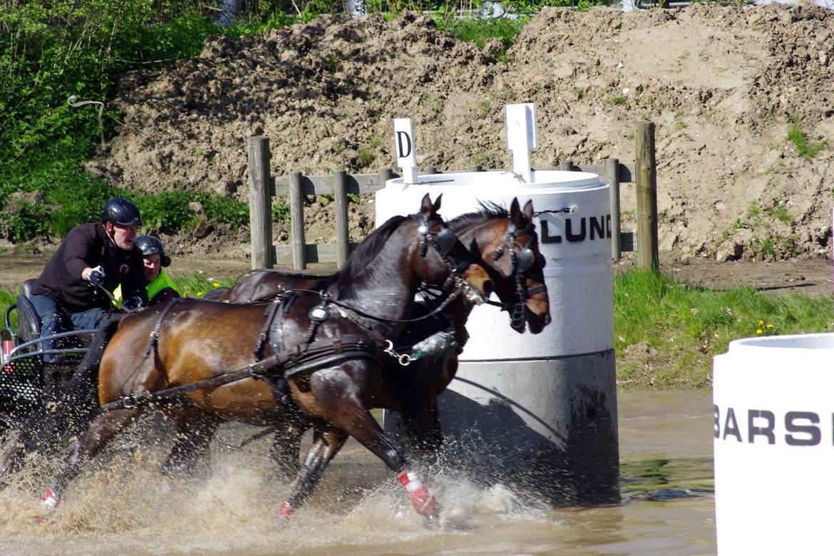 Oldenborg Uno Mølgaard billede 17