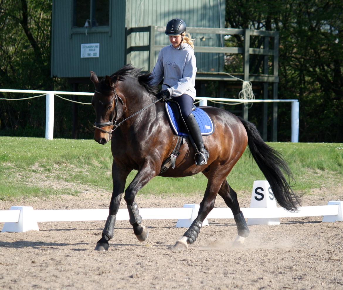 Oldenborg Uno Mølgaard billede 14