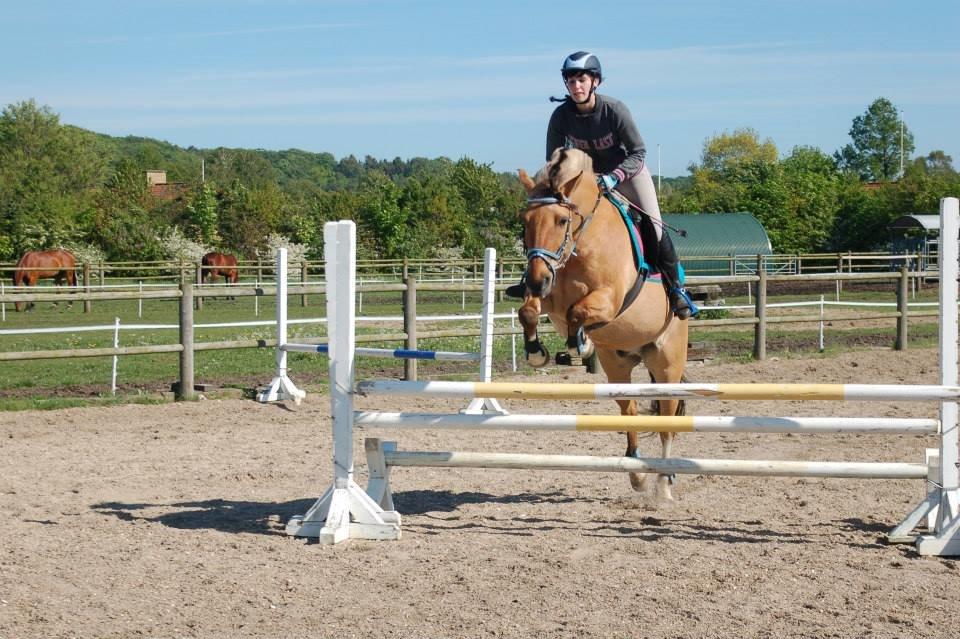 Anden særlig race Nuggi - en lille tribbelbar billede 32