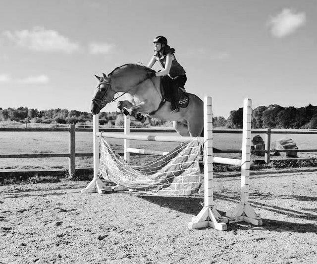 Anden særlig race Nuggi - Springer mur på 110cm billede 44