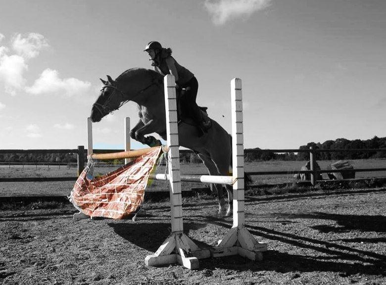 Anden særlig race Nuggi - Muren billede 42