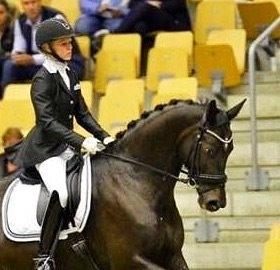 Dansk Varmblod Drisdals Co-Co Chanel RDH billede 13