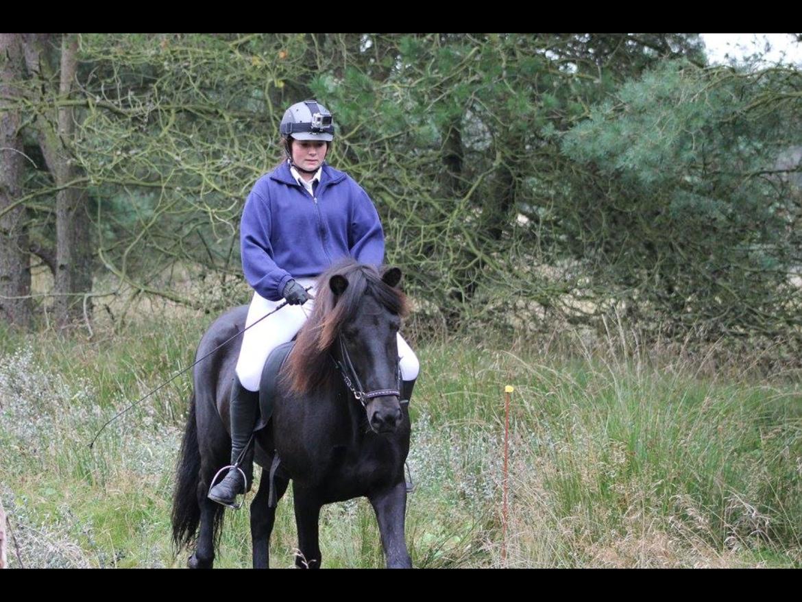 Islænder Geysir herborgvej billede 20