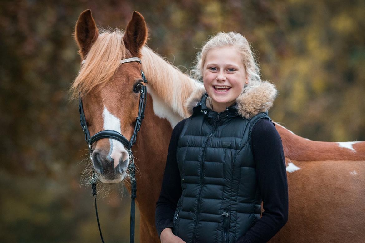 Pinto Araber Felix B-pony og 1/3 A-pony billede 14