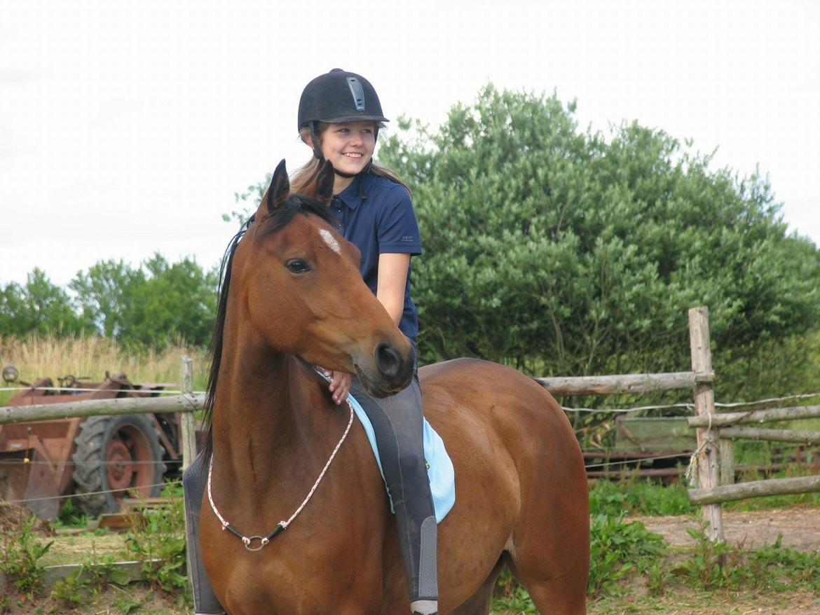 Anden særlig race Helena billede 35