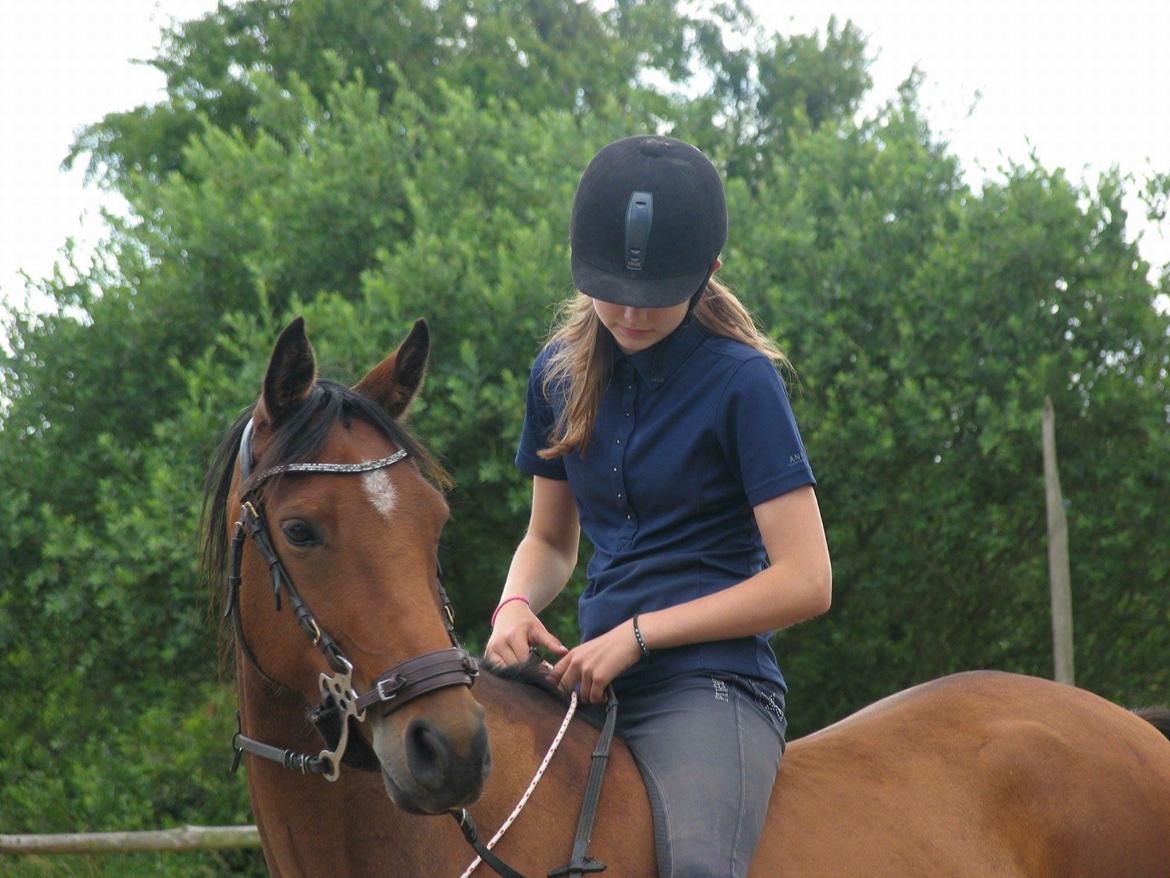 Anden særlig race Helena billede 39