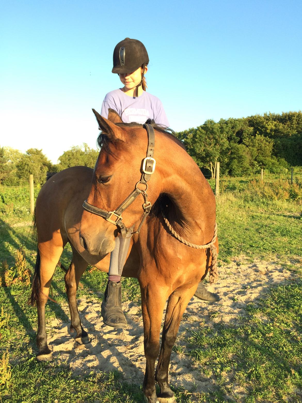 Anden særlig race Helena billede 44
