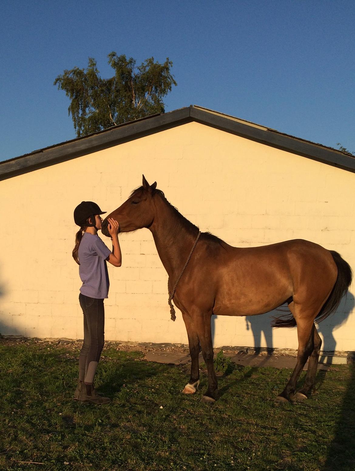 Anden særlig race Helena billede 45