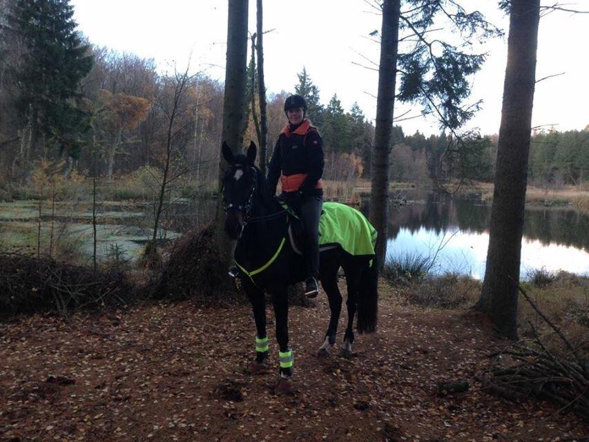 Traver Alica Gold  billede 31