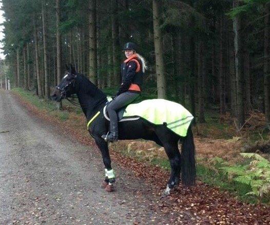 Traver Alica Gold  billede 32