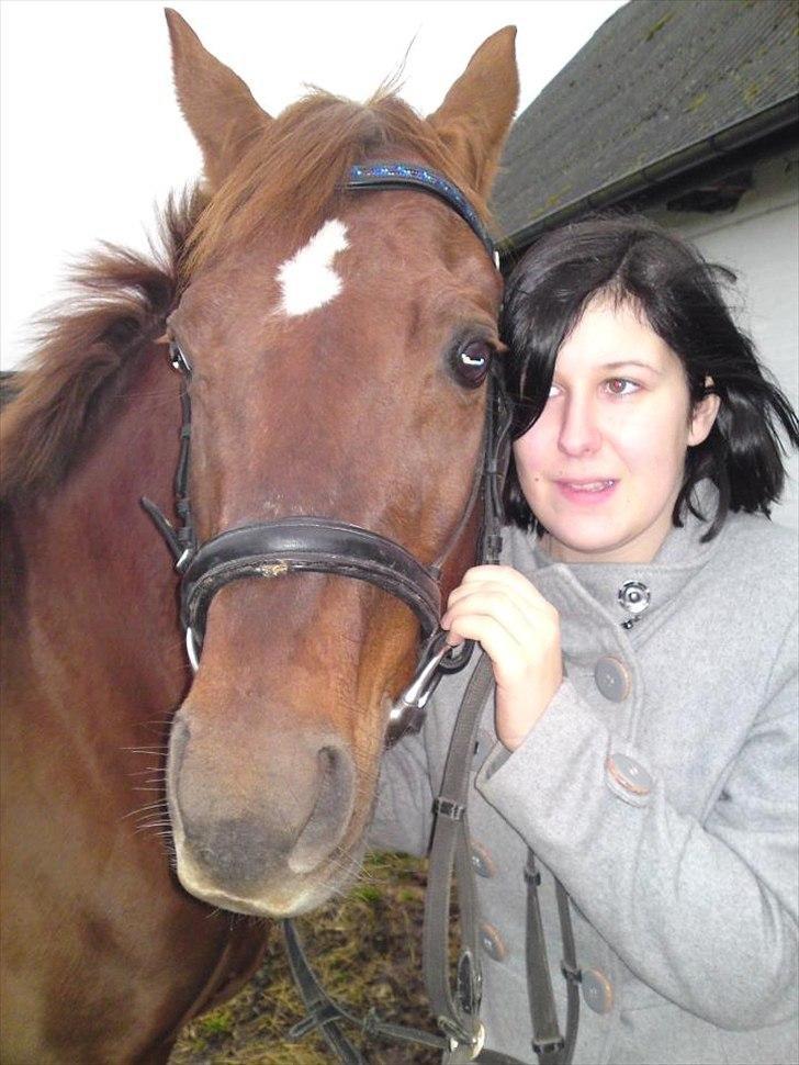 Anden særlig race Bounty billede 1