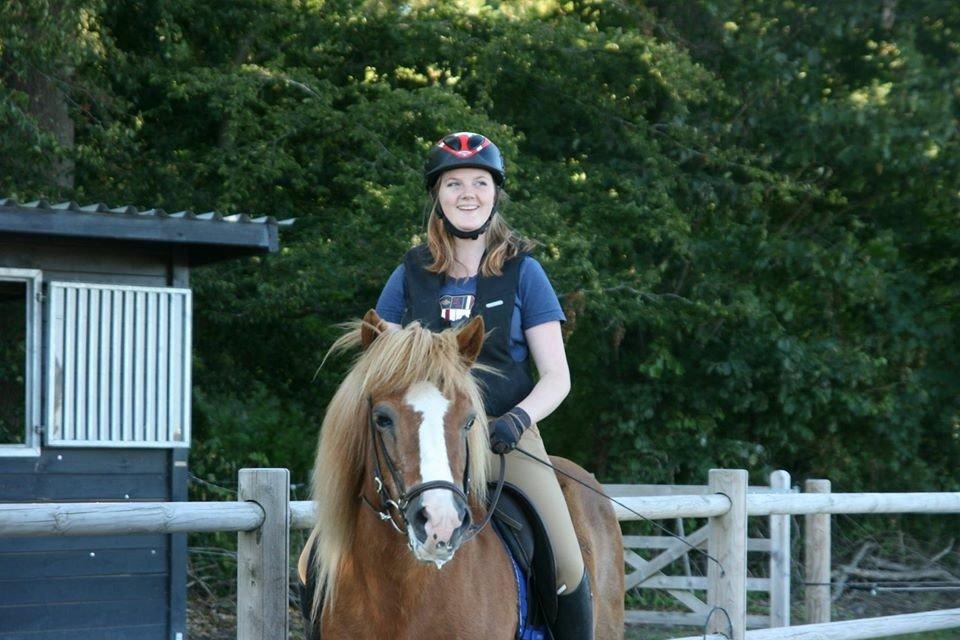 Islænder Hekla kranpi billede 14