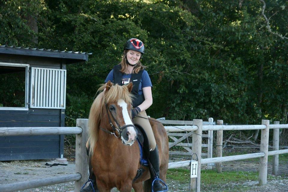 Islænder Hekla kranpi billede 15