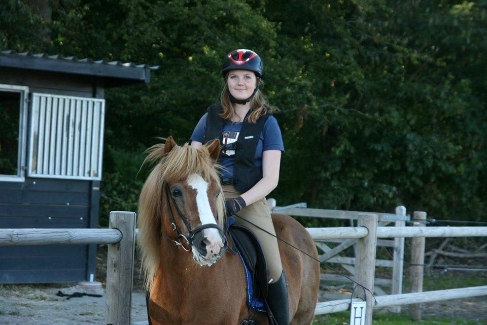 Islænder Hekla kranpi billede 7