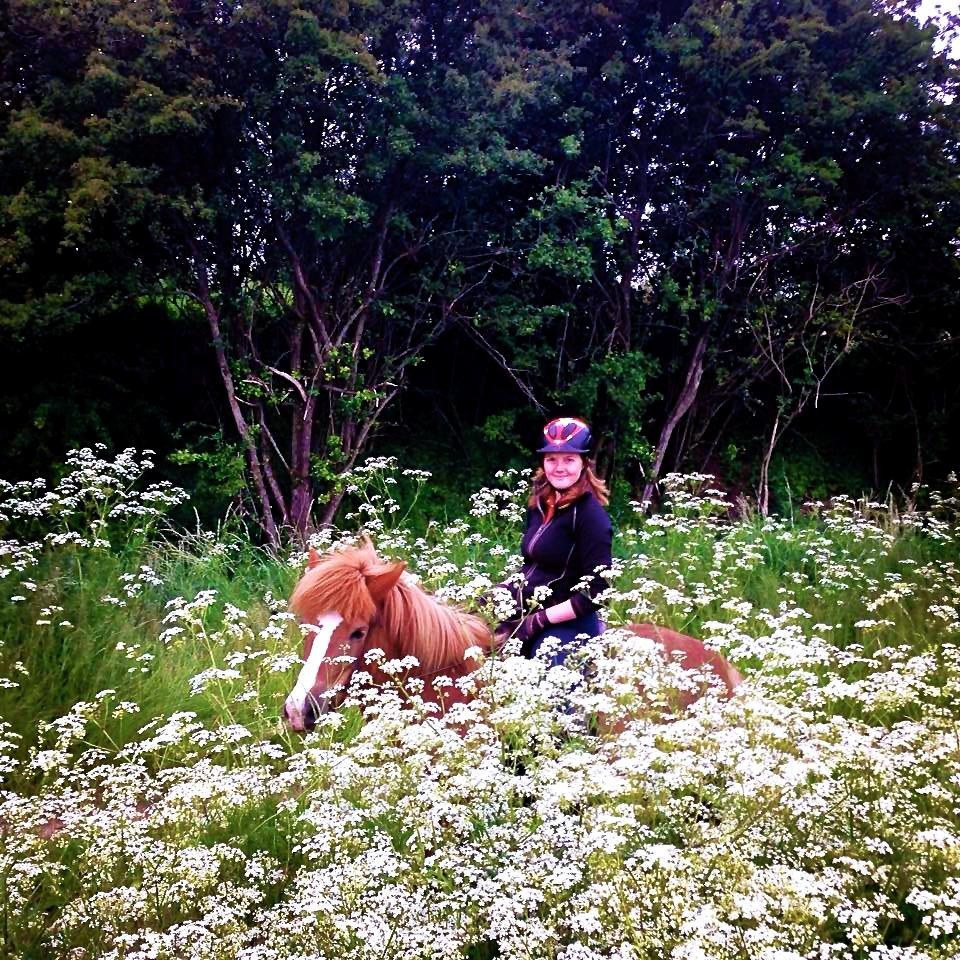 Islænder Hekla kranpi billede 8