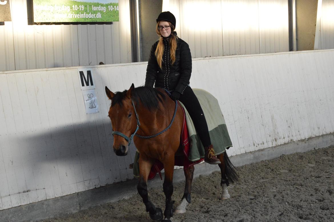 Dansk Varmblod Al Capone [Solgt] - Og så vovede vi os ud i noget cordeo ridning <3 billede 7