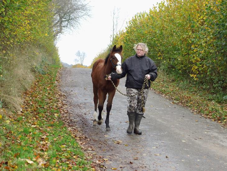 {{currentPhoto.altText}} billede {{currentPhoto.number}}