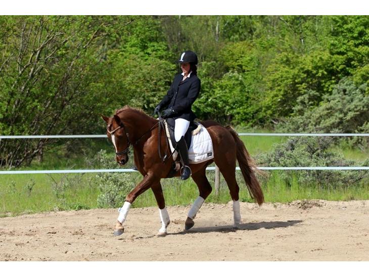 {{currentPhoto.altText}} billede {{currentPhoto.number}}