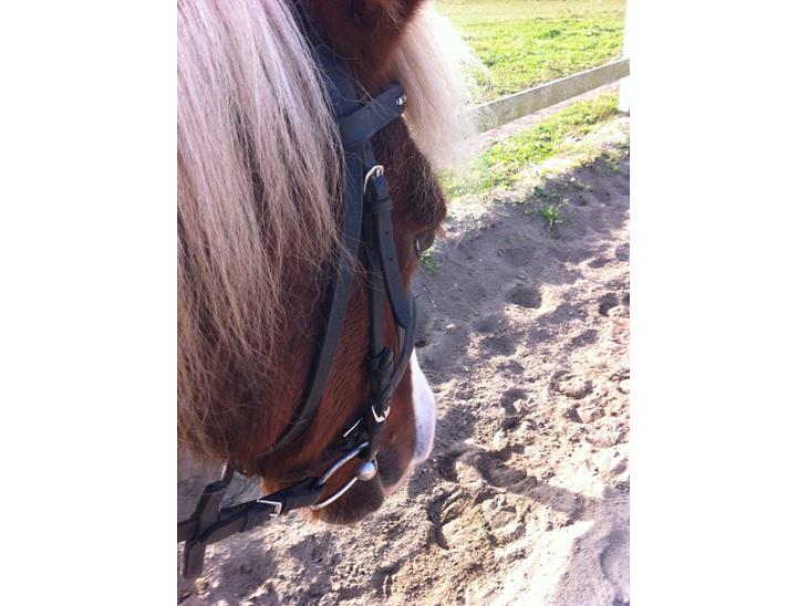 {{currentPhoto.altText}} billede {{currentPhoto.number}}