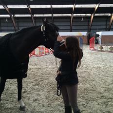 Holstener Braveheart