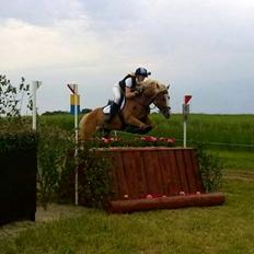 Anden særlig race Maggie Stensbæk | military A-PONY