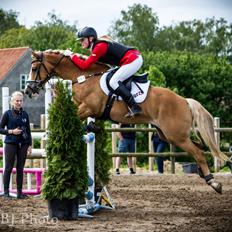 Anden særlig race Maggie Stensbæk | military A-PONY