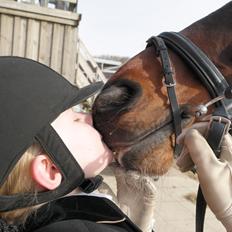 Traver Garcon McQueen