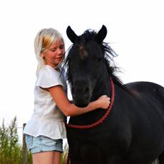 Anden særlig race Gizmo. (førhen Sky)