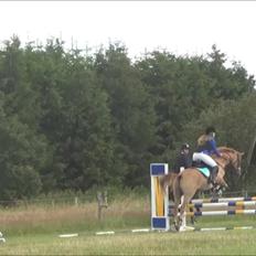 Anden særlig race Calibra - My one and only <3