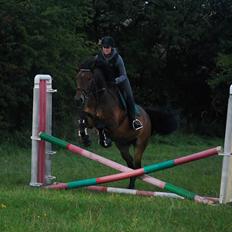 Oldenborg Paddington Skrold