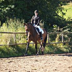 Oldenborg Paddington Skrold