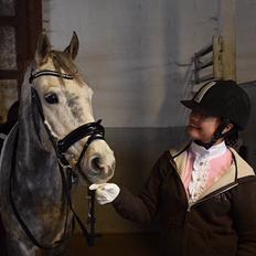 Anden særlig race Bækkeskovens Hurricane