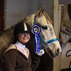 Anden særlig race Bækkeskovens Hurricane