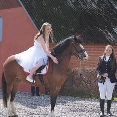 DSP Fjordglimt's afrodite