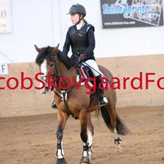 DSP Fjordglimt's afrodite