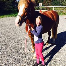 DSP Prinsesse kassandra