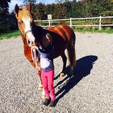 DSP Prinsesse kassandra