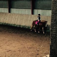 DSP Prinsesse kassandra