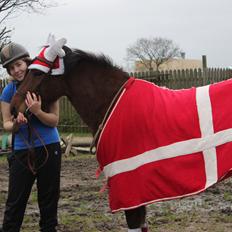 Anden særlig race Kit Kat (Stjerneponyen<3)